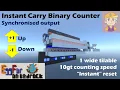10gt Binary Counter - with reset and set bit jump functions