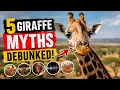 Do Giraffes Really Never Sleep 5 Myths Debunked