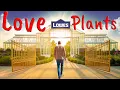Lowe s Top SECRET Garden Plants You Should Buy Now