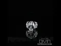 Download Lagu 925K Sterling Silver Winged Skull Demon Band Ring | Stylish Skull Biker Ring | Winged Skull Custom