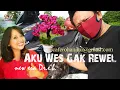 Download Lagu Aku Wes Gak Rewel