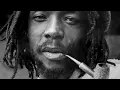 Peter Tosh-Bush doctor lyrics