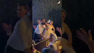 كلها مافيا وعصابات 