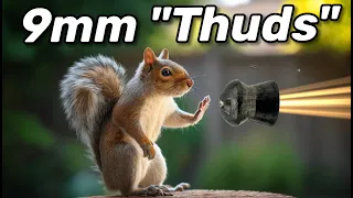 Download Is Shooting Squirrels with a 9mm Humane Let's Discuss! MP3