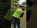 Hart hedge trimmer experience