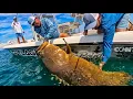Download Lagu BIGGEST Fish EVER CAUGHT on SPINNING GEAR!!!