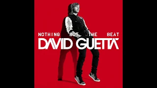 david guetta feat nicki manij turn me on lyrics 