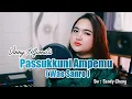 Download Lagu Passukkuni Ampemu||Wae Sanro||Vinny Alfionita||Cover Version