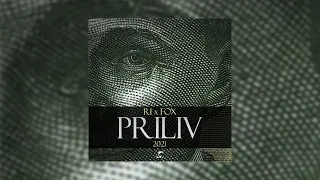 Ri x Fox - Priliv (2021)