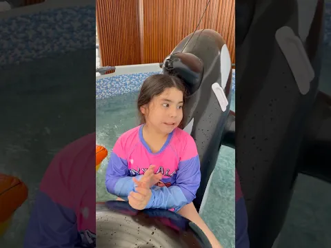 METIÓ AL PEQUEÑO NOAD A LA PISCINA, SIN MI PERMISO 🤯😤 #youtubeshorts #humor