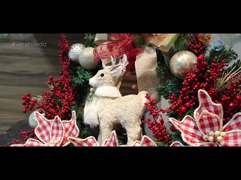 Programa Vera Toledo: Criatividade à flor da pele