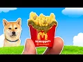 Download Lagu Opening MORE Gross Minis (YUCK!)