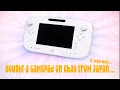 Bought a Wii U gamepad on ebay From Japan It was bad