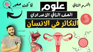 علوم الصف الثاني الاعدادي الوحده الثالثه التكاثر واستمراريه النوع الدرس الثاني التكاثر في الانسان 
