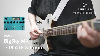 How Different Reverbs Sound on Direct Line Guitar