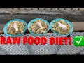 How to Rottweiler Raw Food Diet DiY Breakdown Tips Tricks and more