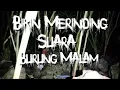 Download Lagu Backsound Horor ‼️ Suara Burung Hantu Bersautan Di Tengah Malam Seram No copyright