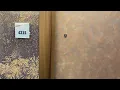 Carnival Miracle - Junior Suite 4235