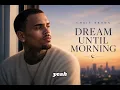 Chris Brown - Dream Until Morning