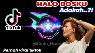 Download 🔊🔊🔊🔊 Dj halo bosku adakah 🔥 Cek sound full bass | Remix viral Tiktok #dj 🔊🔊 MP3