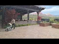 Birt ay dinner at Mariposa Latin Inspired Grill in Sedona Arizona