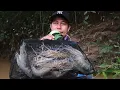 Download Lagu Mancing Udang Galah Monster Dihulu Sungai/Prawn River Fishing 