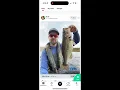 Why Fish Brain is a superior app