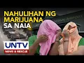 Download Lagu Mag-live in partner at dalawang tauhan ng NAIA, huli sa milyong halaga ng marijuana kush