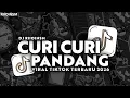 Lagu DJ CURI CURI PANDANG REMIX VIRAL TIKTOK TERBARU 2026 RIIOINSM