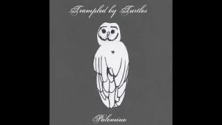 Trampled By Turtles Wait So Long  Trampled By Turtles Wait So Long