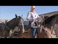 Download Lagu Hoe je een paard ponyrijdt