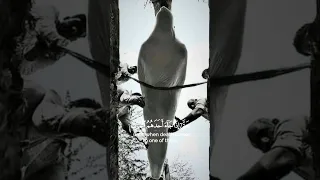 حتي إذا جاء أحدهم الموت قال رب ارجعون لعلي اعمل صالحا فيما تركت اسلام صبحي 