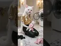 Download Lagu A nosy neighbor… or a hero? #gatotriste #meoww #aicat #catstory  #emotionalstory #videoviral