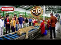 Illegal leopard smuggling racket – CID's precise raid reveals the biggest revelation! | CID | New...