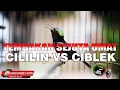 Download Lagu MASTERAN KONIN JERNIH FULL ISIAN TEMBAKAN SEJUTA UMAT CILILIN VS CIBLEK AK47 SUPER MEWAH