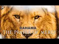 Lagu RAHAMA - LORD MERCY | Prophetic Warfare Prayer Instrumental Kaestrings