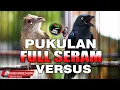 Download Lagu KAPAS TEMBAK VS SRIGUNTING ABU ABU GACOR FULL ISIAN JERNIH PANJANG COCOK UNTUK MASTERAN SEMUA BURUNG