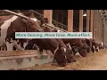 Intensive vs Extensive Grazing Which Livestock Method Works Best