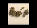 Houston Dispensary Cloud Ponics