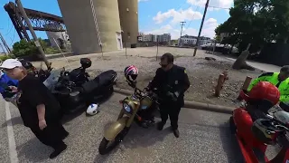                                                                                 دندنها