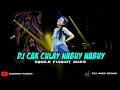 Download Lagu DJ FYP TIKTOK - CAK CULAY NABUY NABUY || SINGLE FUNKOT PALING DICARI 2023