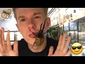 The Craziest Insect Videos On The Internet!