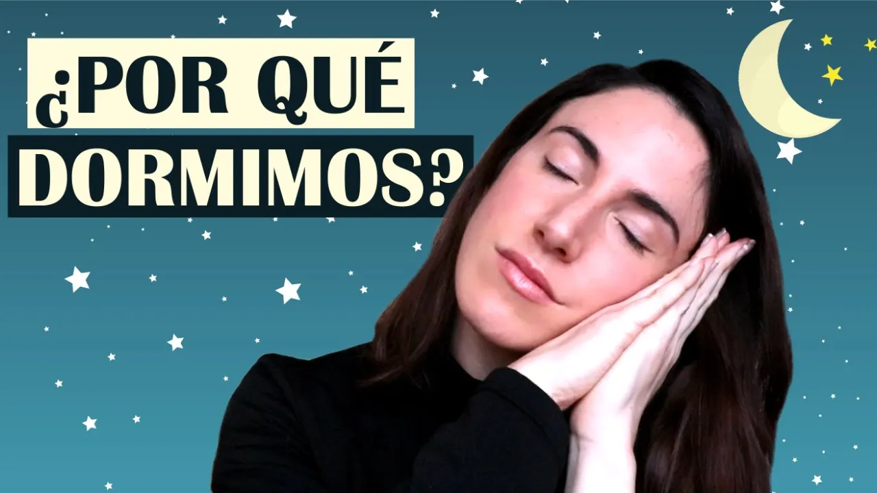 ¿Por qué dormimos? 3 funciones del sueño