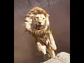 Download Lagu I will never Forget You Dad! - “Mufasa \u0026 Simba” (“The Lion King”) Edit丨Kamin - Emin \u0026 JONY (slowed)