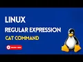 6 CAT Command in Linux LINUX