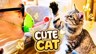 CUTE CATS Adventures 🐾😺 🐈  Cute games with Dad Play Fun with REAL Kitten's | THE BEST CAT TOY EVER!