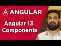 Angular 13 Components Urdu Hindi