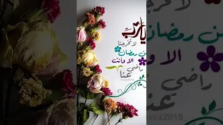 استني شويه بلاش تمشي  وداعا رمضان حبيب قلوبنااااا دندنها