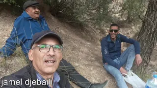 تبسة بكارية Tebessa Bekkaria 
