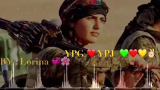 أغنية كوردية ابوجية 